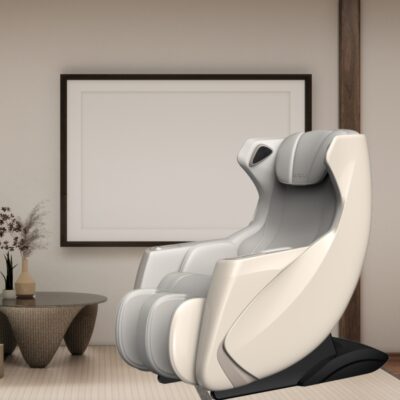 Professional Massage Chair <br/>AM-1050